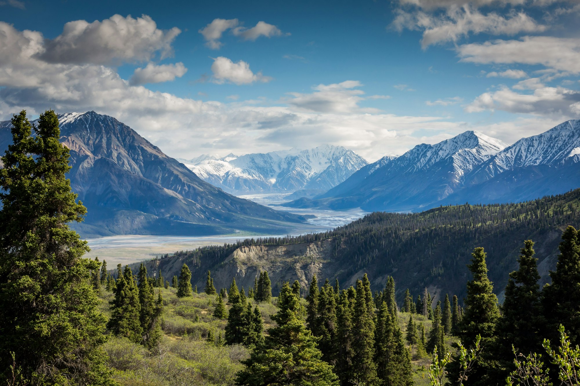 Snow-capped peaks above a forested valley in the Canadian Rockies